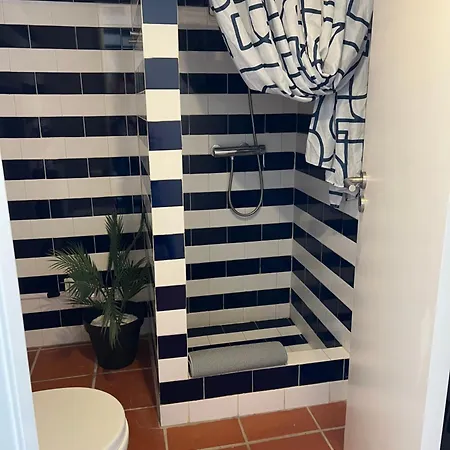 Sardine Sanctuary - The