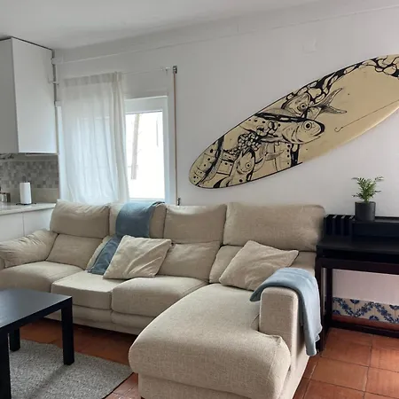 Sardine Sanctuary - The フェレル